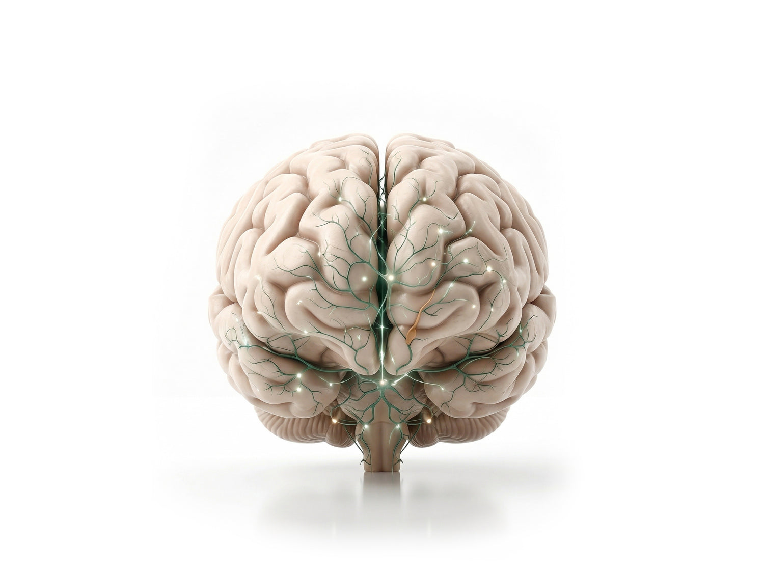 Image for 